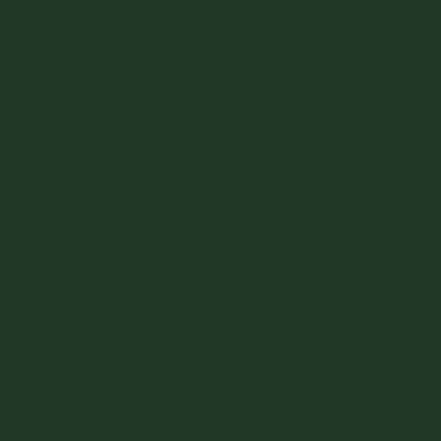 ANGLES - Sunglasses • Faded Forest